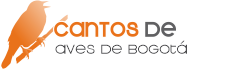 CANTOS DE AVES