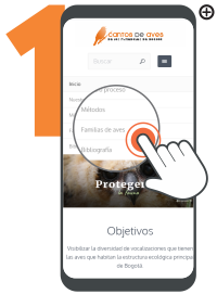 En el menu principal: Selecciona el item Familia de Aves para acceder al mosaico de fichas.