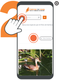 Al ingresar al mosaico de fichas, si deseas podrás utilizar dos filtros disponibles: uno general para búsqueda por nombre y otro categórico para clasificar las especies. Una vez encuentres la especie deseada, haz clic en su imagen para acceder a la ficha informativa.