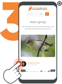 Dentro de la ficha informativa, descubrirás fotos, audios de cantos y llamados, datos clave y videos. Explora, escucha y aprende.